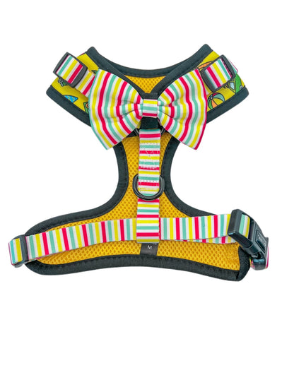 The Beach Bum Adjustable Dog or Cat Harness