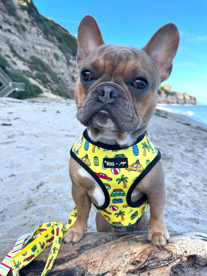 The Beach Bum Adjustable Dog or Cat Harness