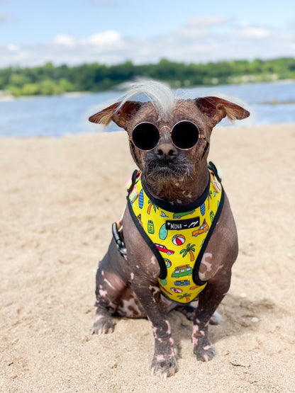 The Beach Bum Adjustable Dog or Cat Harness