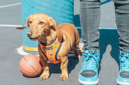 GOT GAME? Basketball ADJUSTABLE DOG AND CAT HARNESS